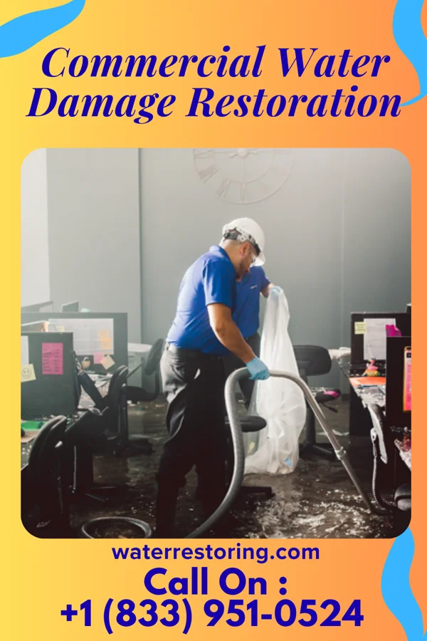 Commercial Water Damage Restoration in Frostburg, MD