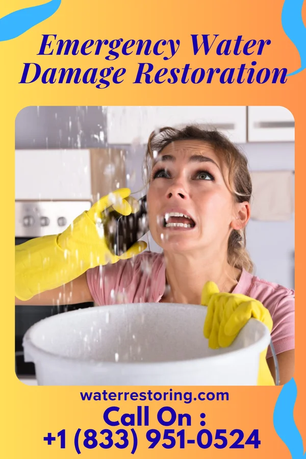 Emergency Water Damage Restoration in Frostburg, MD