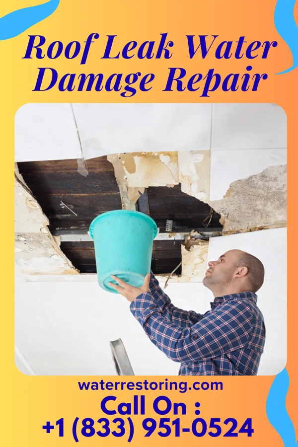 Roof Leak Water Damage Repair in Frostburg, MD
