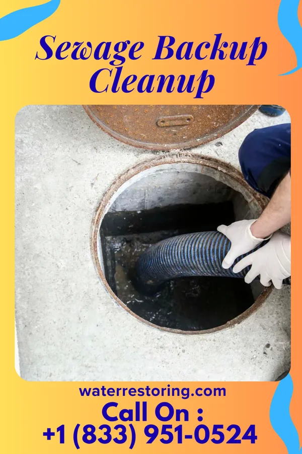 Sewage Backup Cleanup in Frostburg, MD