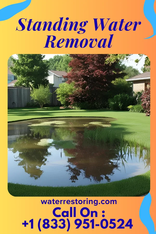 Standing Water Removal in Frostburg, MD